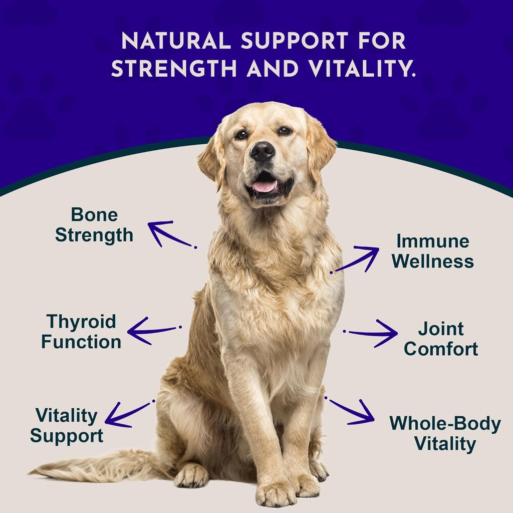 animal-essentials-ocean-kelp-for-dogs-ca-2.jpg