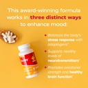 redd-remedies-in-joy-supports-mood-and-e-3.jpg