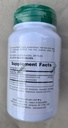 natures-plus-herbal-actives-american-gin-3.jpg