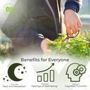nootropics-depot-lemon-balm-extract-tabl-4.jpg