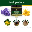 royal-arnica-salve-organic-bruise-care-a-2.jpg