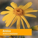 herb-pharm-certified-organic-arnica-liqu-4.jpg