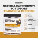 winpro-recovery-chews-for-dogs-plasma-po-3.jpg