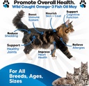 omega-3-fish-oil-for-cats---better-than--2.jpg