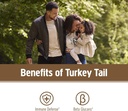 om-mushroom-superfood-turkey-tail-organi-3.jpg