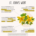 joy-filled-mood-support-supplement---7-h-5.jpg