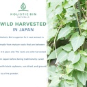 holistic-bin-japanese-he-shou-wu-fo-ti-p-3.jpg