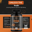 chaga-capsules-organic-supplement-suppor-5.jpg