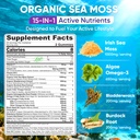 bundle-sea-moss-gummies-algae-omega-3-fo-2.jpg