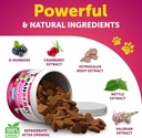 dog-uti-treatment---cranberry-supplement-4.jpg