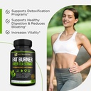 premium-green-tea-extract-fat-burner-sup-3.jpg