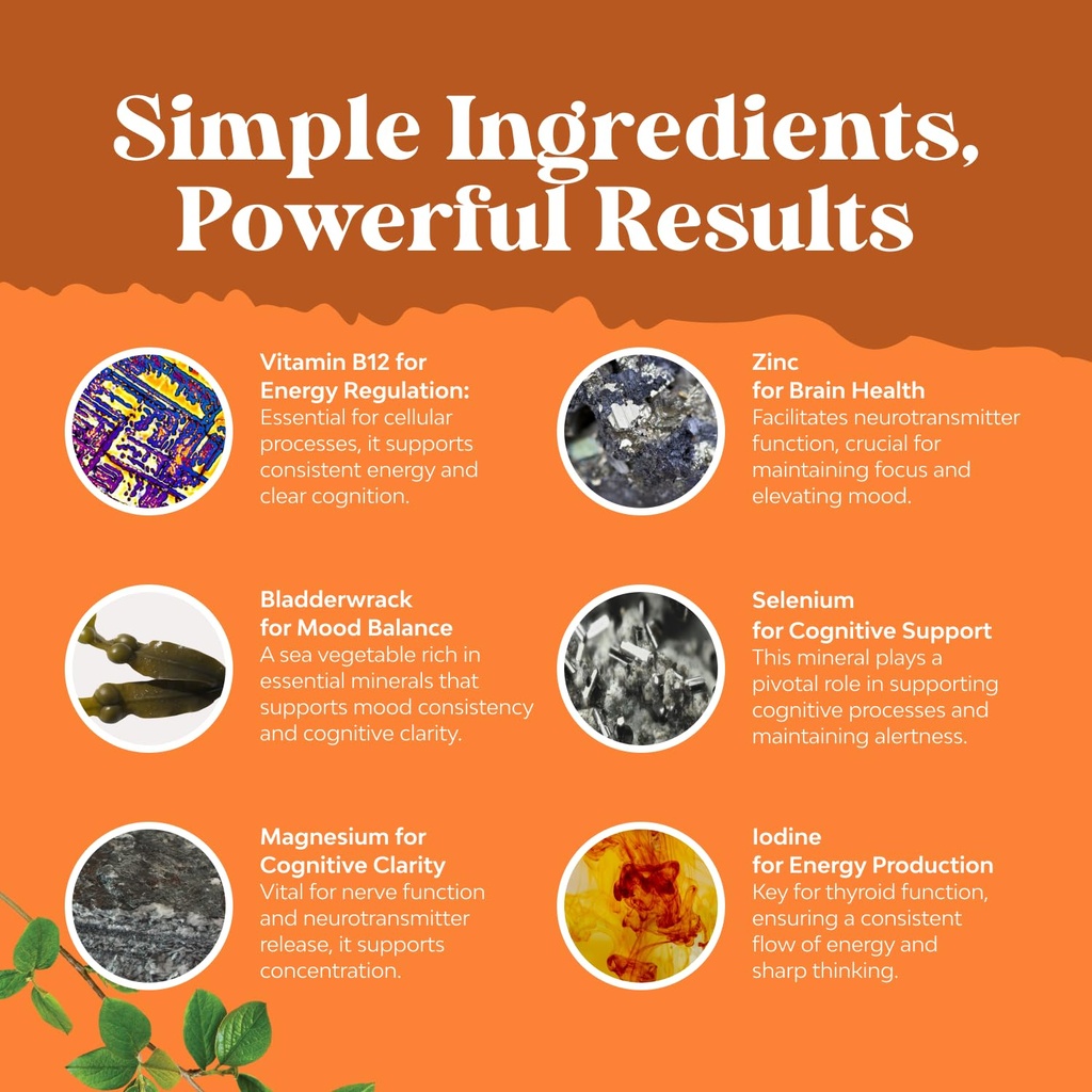 herbal-thyroid-support-complex-potent-ke-6.jpg