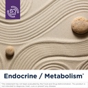 designs-for-health-inositol-ala-capsules-2.jpg
