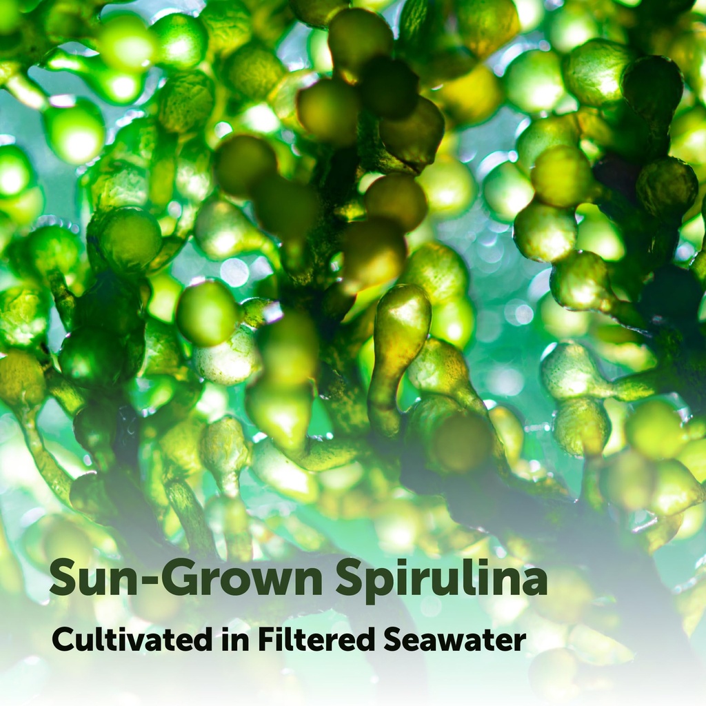 micro-ingredients-organic-spirulina-supp-5.jpg