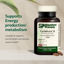 standard-process-cataplex-b-nervous-syst-3.jpg