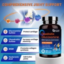nature-target-glucosamine-chondroitin-ms-2.jpg