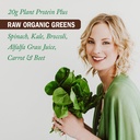 garden-of-life-organic-chocolate-protein-5.jpg