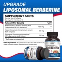 berberine-hcl-supplement-1500mg-with-cey-5.jpg