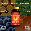 nutrex-hawaii-bioastin-hawaiian-astaxant-4.jpg