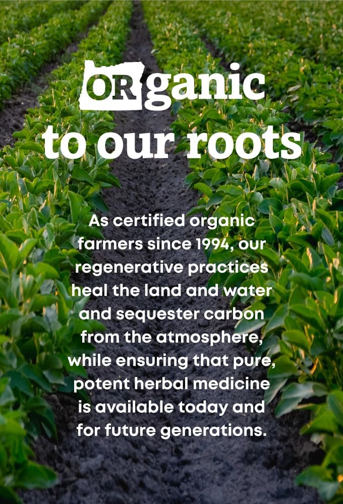 oregons-wild-harvest-milk-thistle--organ-5.jpg