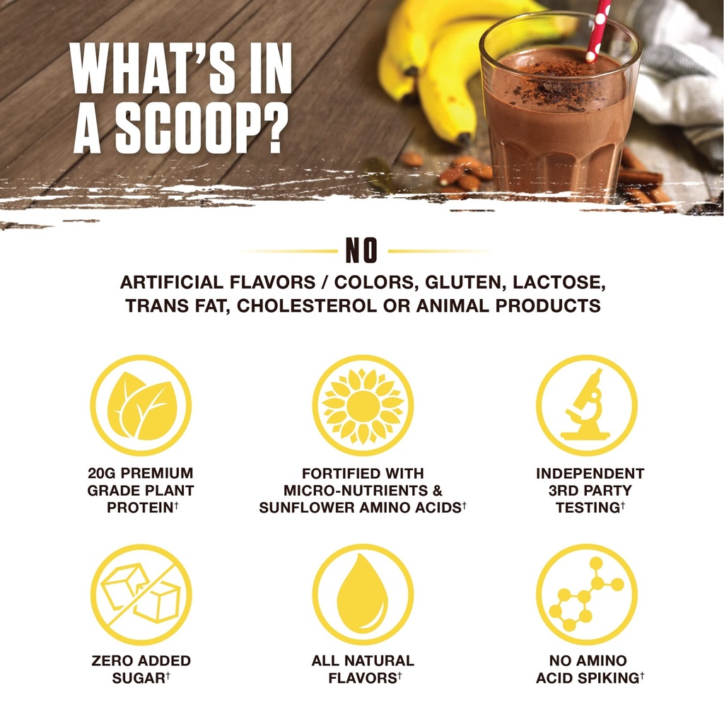 ambrosia-plant-based-protein-powder-20g--4.jpg