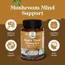 bundle-of-nootropic-brain-supplement-for-5.jpg
