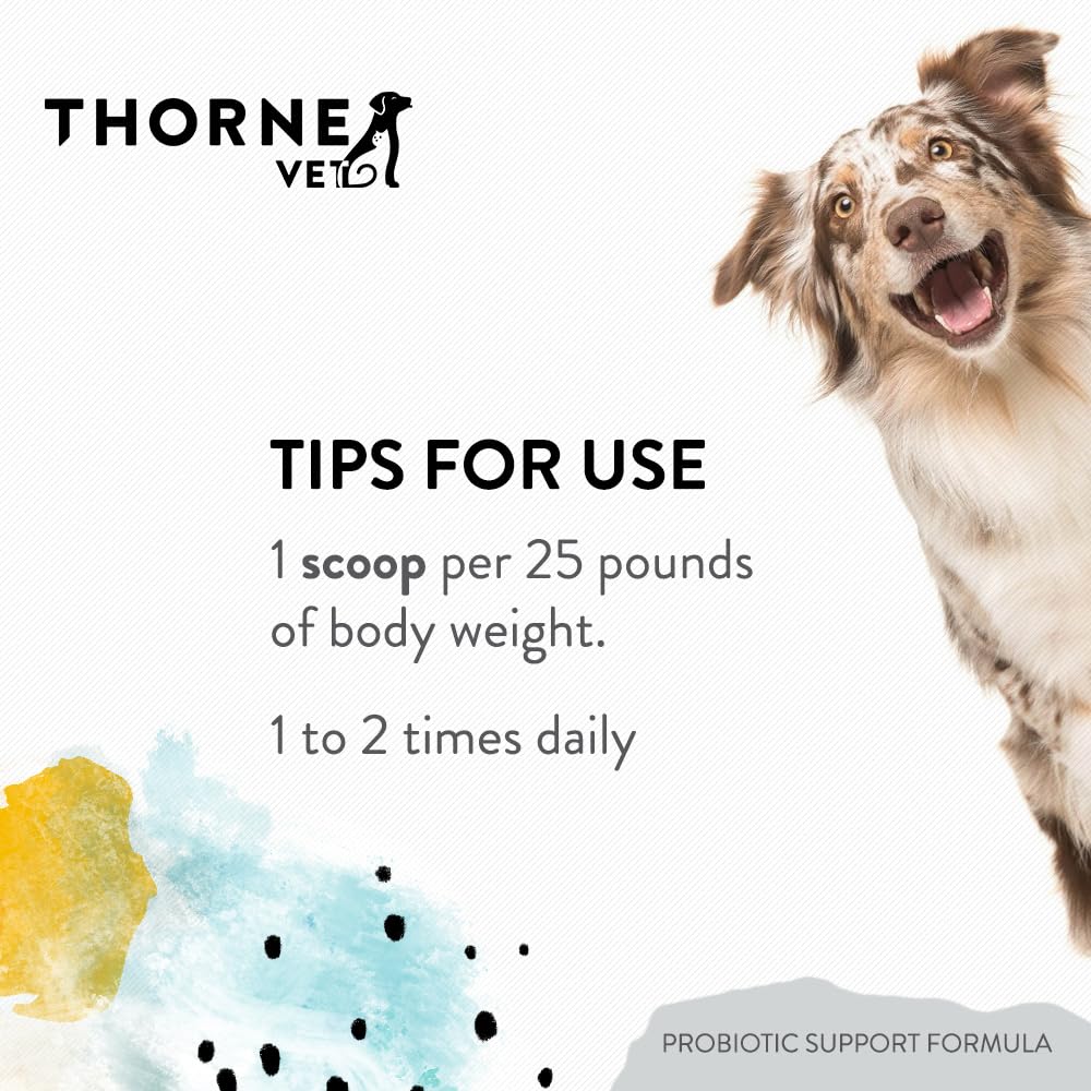 thornevet-probiotic-support-formula-gast-6.jpg