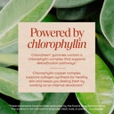 nature-s-way-chlorofresh-chlorophyll-gum-4.jpg