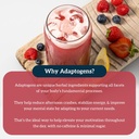 organifi-red-juice---energy-powder-reduc-5.jpg