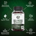 irish-sea-moss-gummies-3000mg-formulated-4.jpg