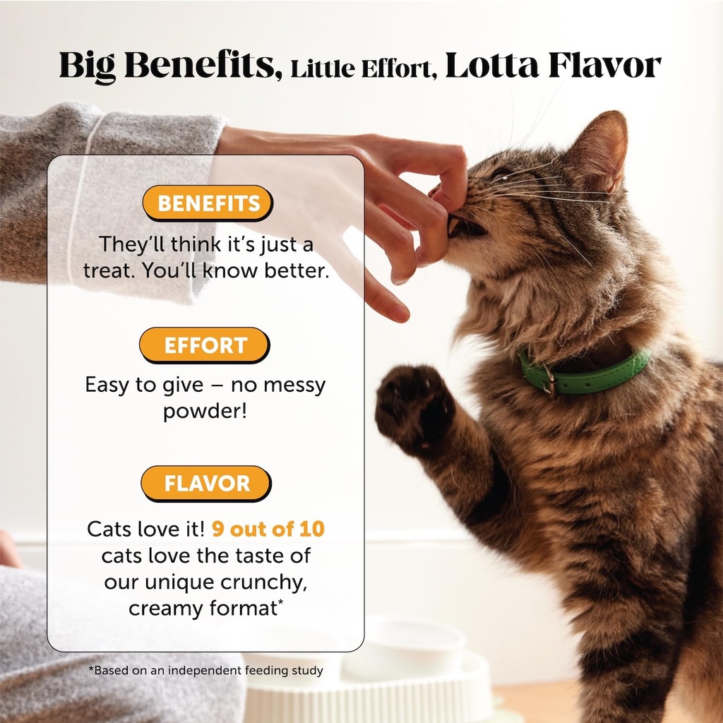 cat-immune-support-lysine-allergy-relief-4.jpg