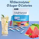 36-sticks-electrolytes-powder-packets-6--5.jpg