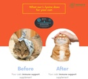 l-lysine-powder-for-cats-and-kittens-chi-3.jpg
