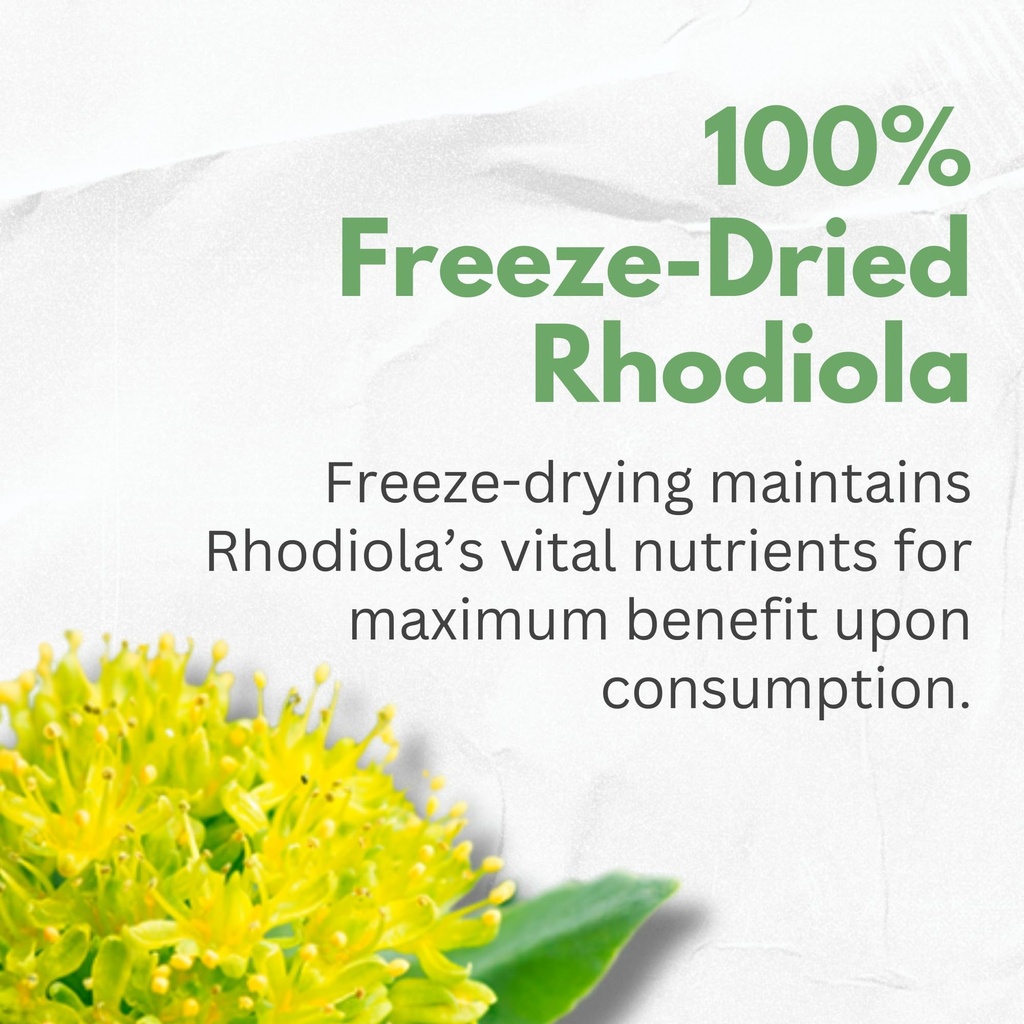 rhodiola-rosea-supplement-high-potency-e-5.jpg