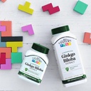 21st-century-ginkgo-biloba-extract-veg-c-6.jpg