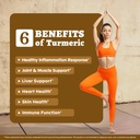 turmeric-curcumin-supplement-1-500mg-95--2.jpg