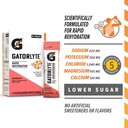 gatorlyte-powder-watermelon-16-9oz-pack--2.jpg