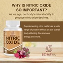 sehatiku-nitric-oxide-supplement-nitric--4.jpg