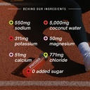 electrolytes-all-natural-electrolyte-pac-4.jpg