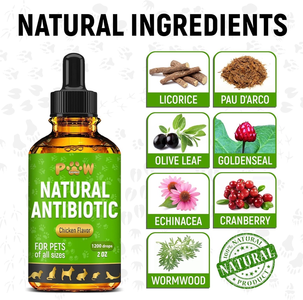 dog-antibiotics-with-chicken-flavor-сat--3.jpg
