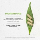 secrets-of-the-tribe-quit-secret-nicotin-2.jpg