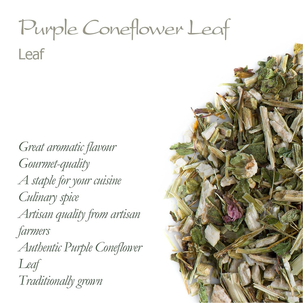 purple-coneflower-herb-echenecia-tea---i-5.jpg