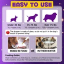 dog-melatonin-melatonin-for-dogs-calming-2.jpg
