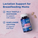 mommy-s-bliss-postnatal-lactation-suppor-2.jpg