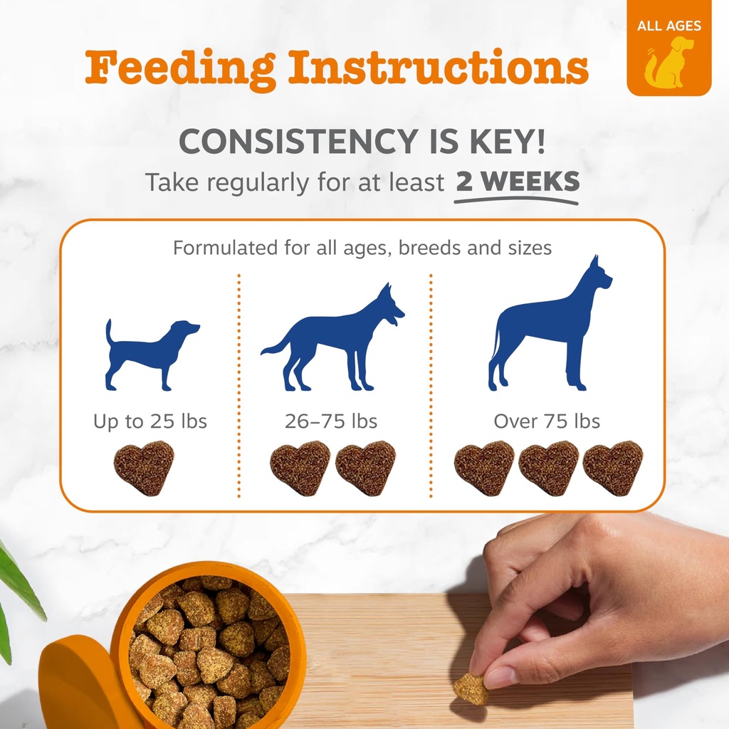 zesty-paws-dog-multivitamin-chewable-dog-4.jpg