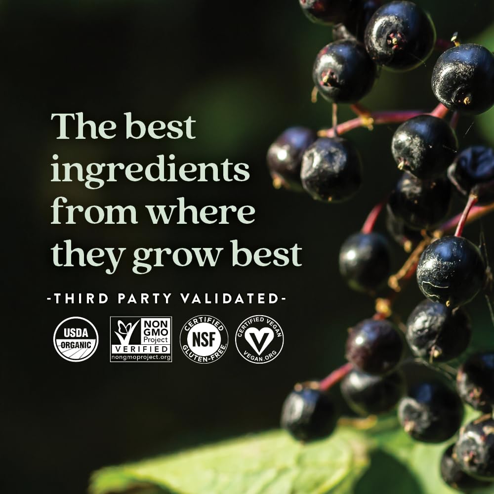 new-chapter-elderberry-gummies-for-kids--5.jpg
