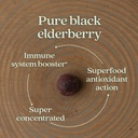 new-chapter-elderberry-gummies-for-kids--4.jpg
