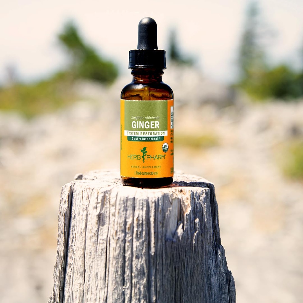 herb-pharm-ginger-liquid-extract-organic-5.jpg