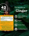 herb-pharm-ginger-liquid-extract-organic-2.jpg