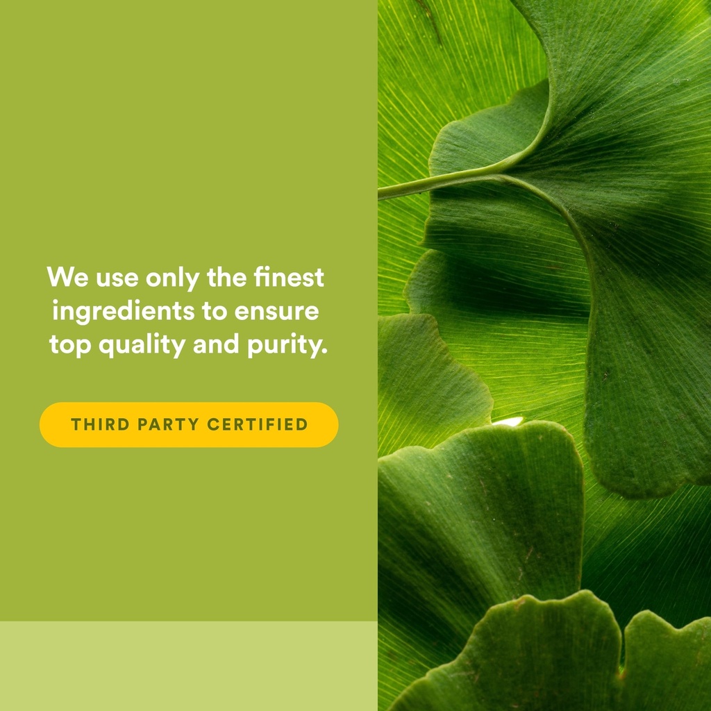 herbalfactors-by-natural-factors-ginkgo--5.jpg